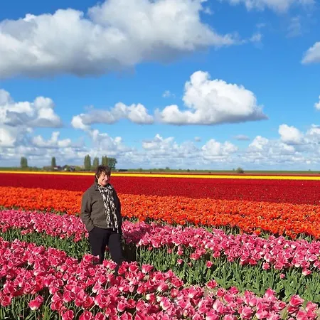 Bommeltje Boven Den Bommel